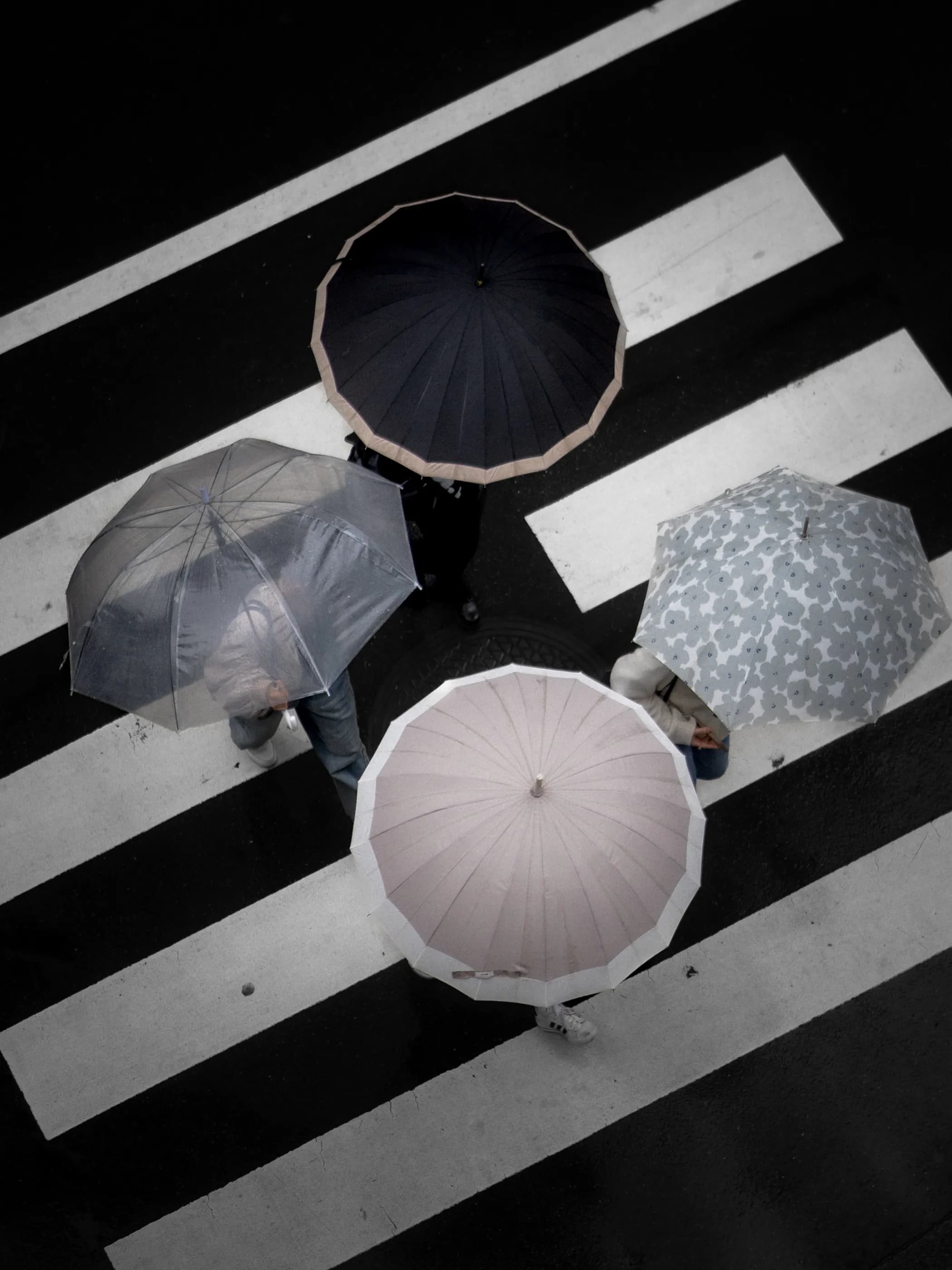 Umbrellas crossing a Tokyo street