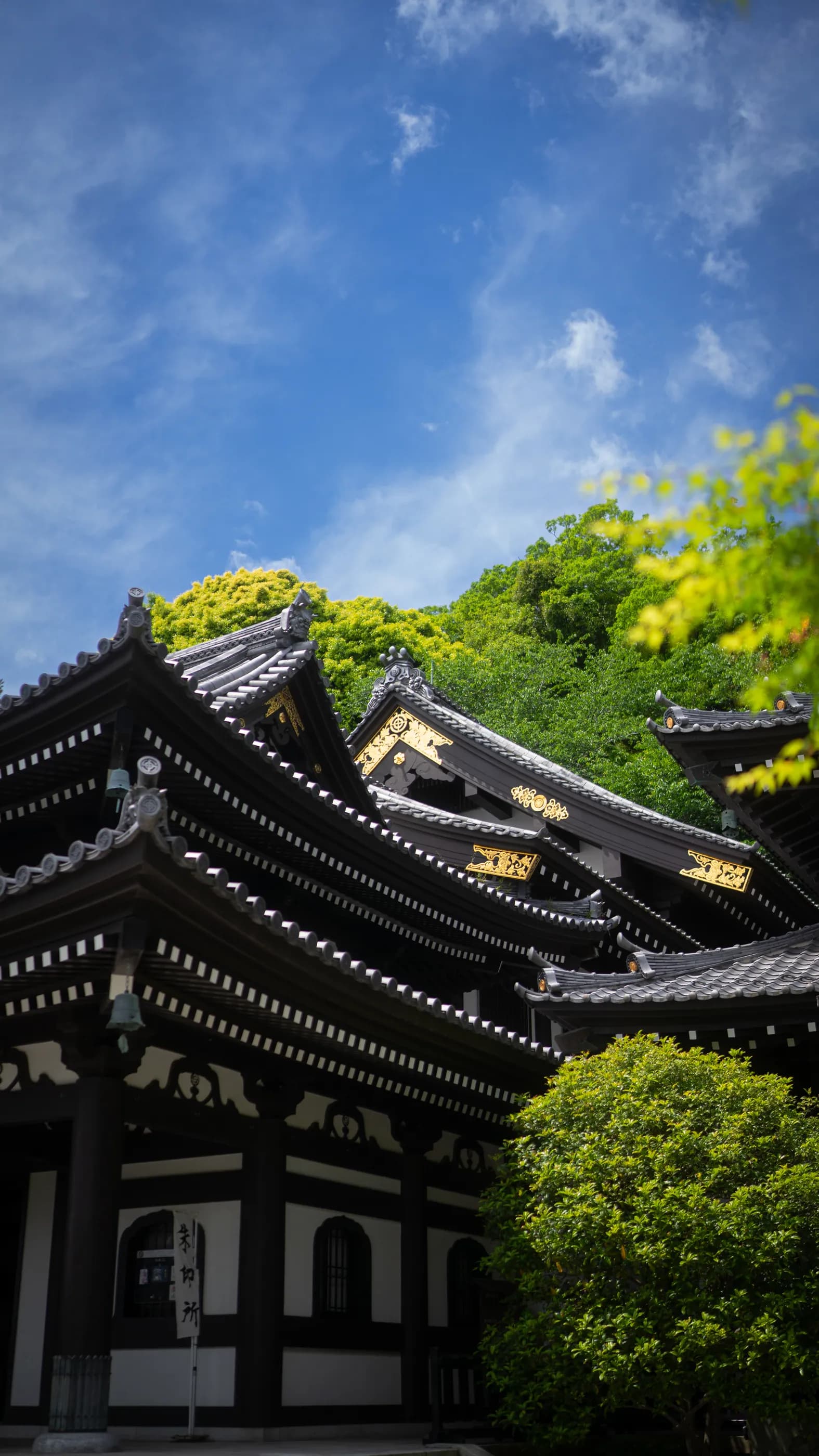 Tokyo photo 3