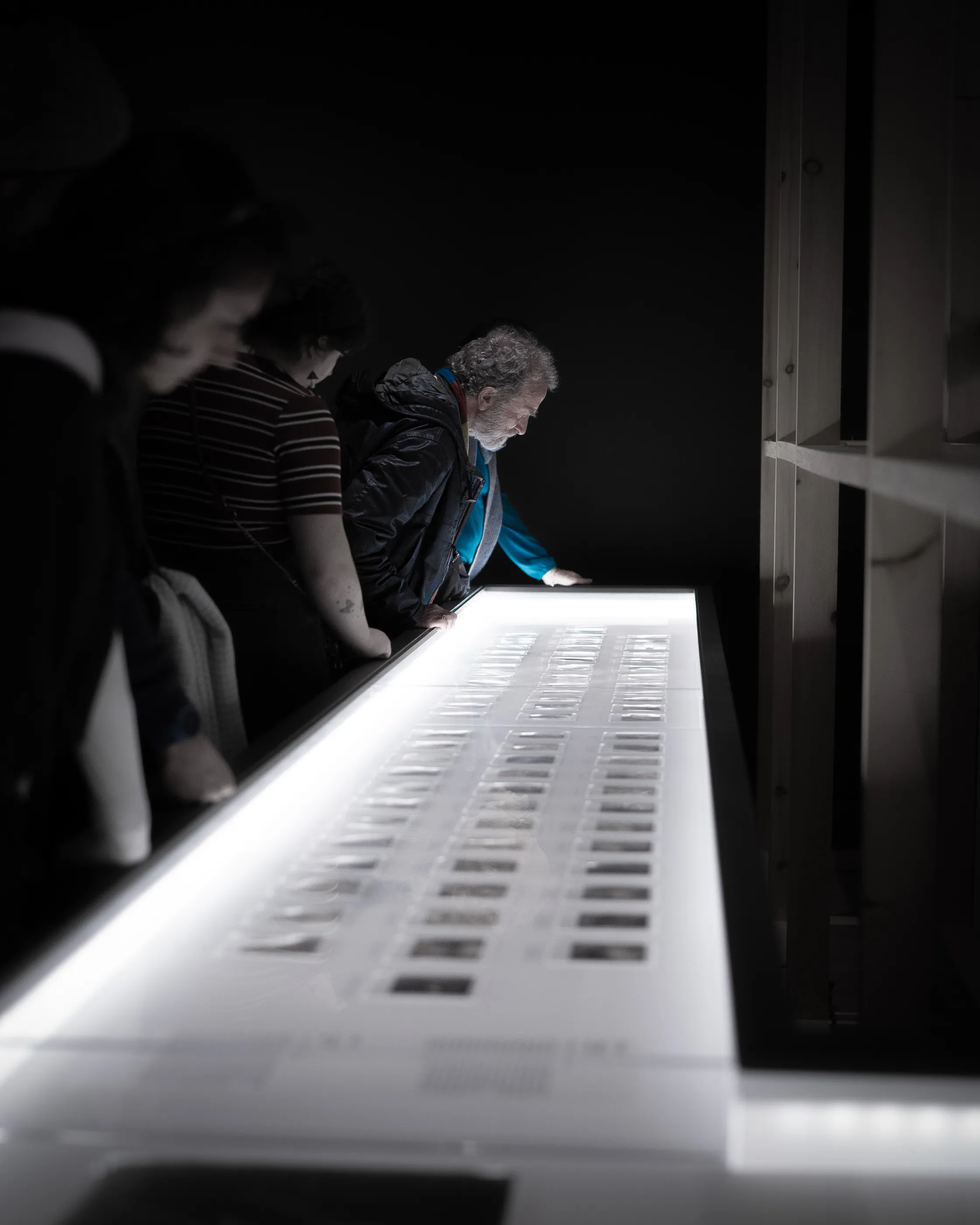Visitors studying a bright museum display
