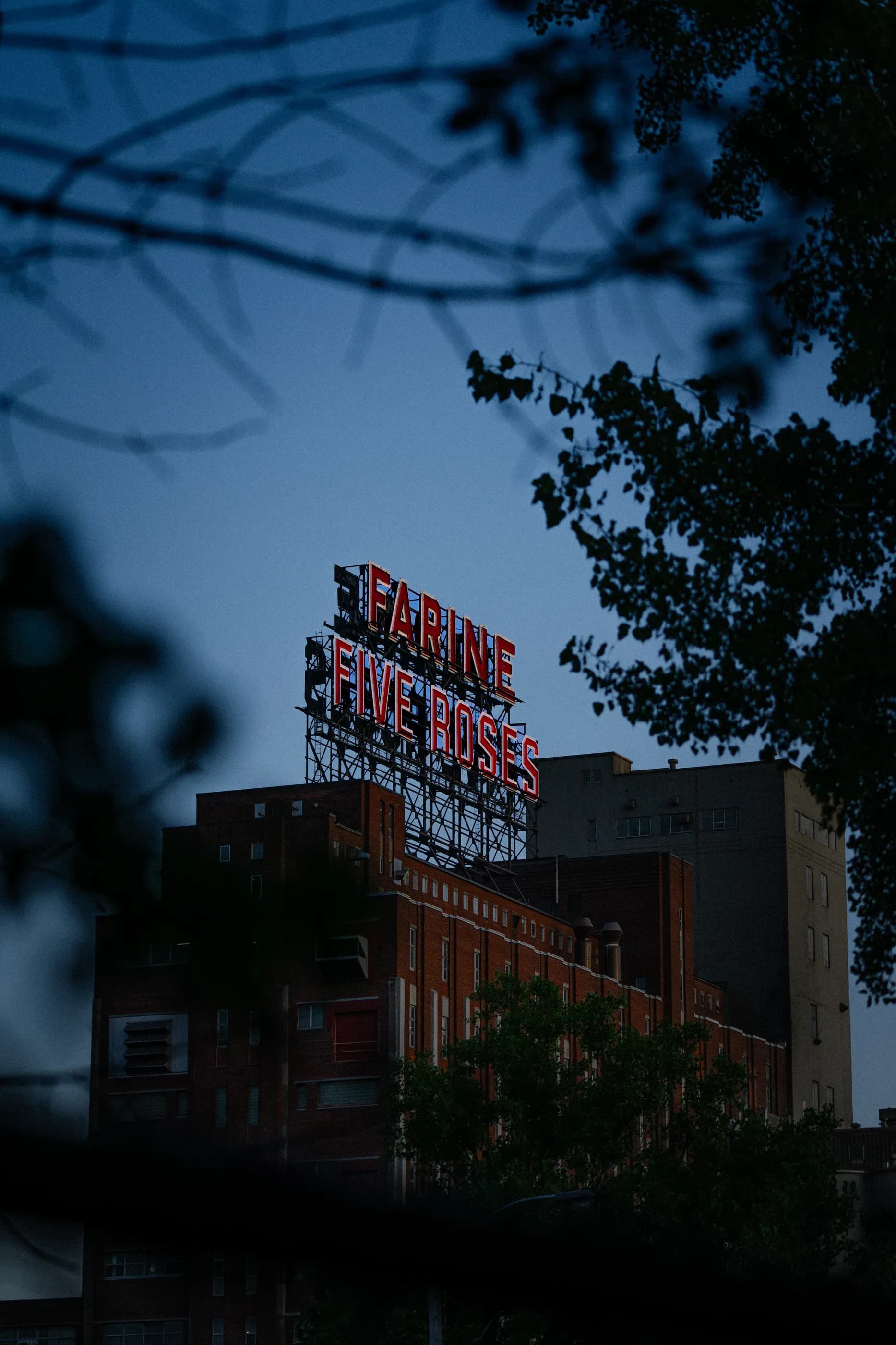 Montreal photo 5